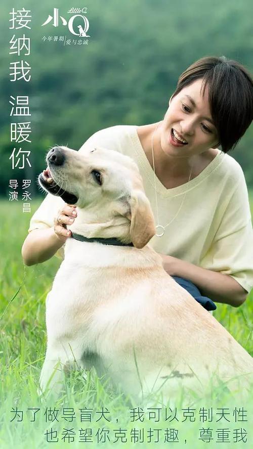 肯特州立大学MechanicalEngineeringDegreeCertificate
